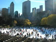 central park ice rink, more fun that Streatham ice rink